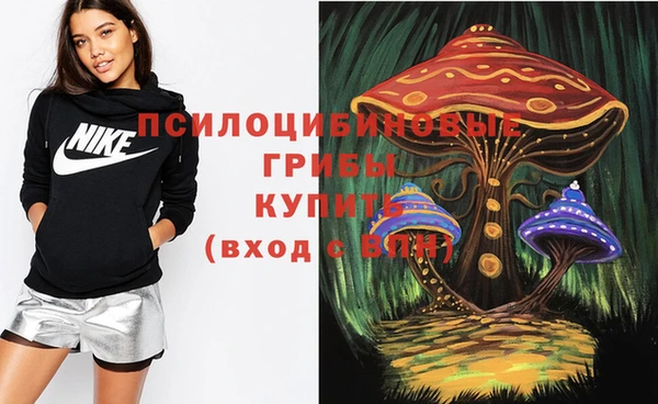 стаф Беломорск