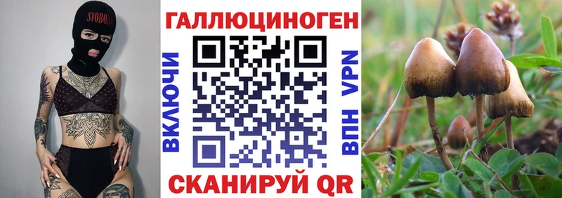 mega зеркало  наркотики  Котовск  Галлюциногенные грибы прущие грибы 